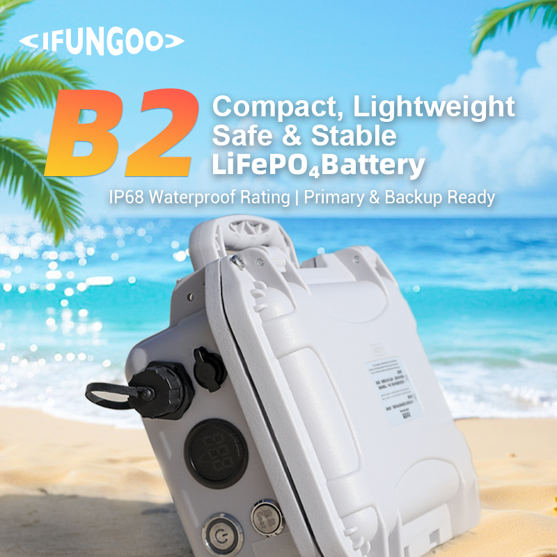 B2 Marine Battery