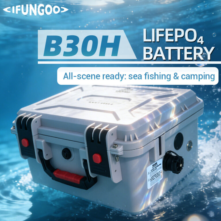 B30H Marine Battery