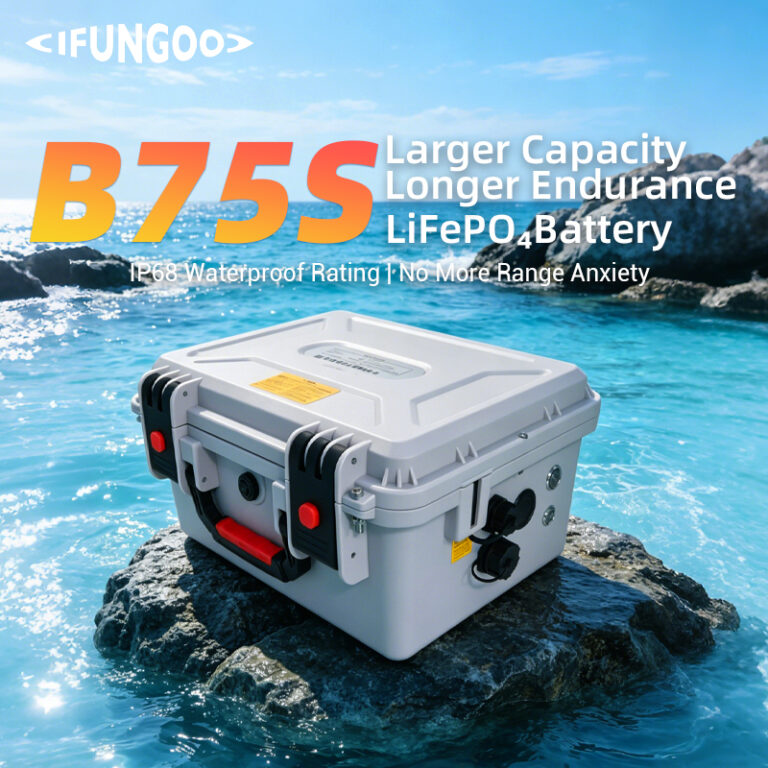 B75S Marine Battery