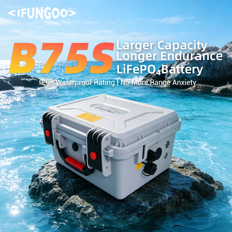 B75S Marine Battery